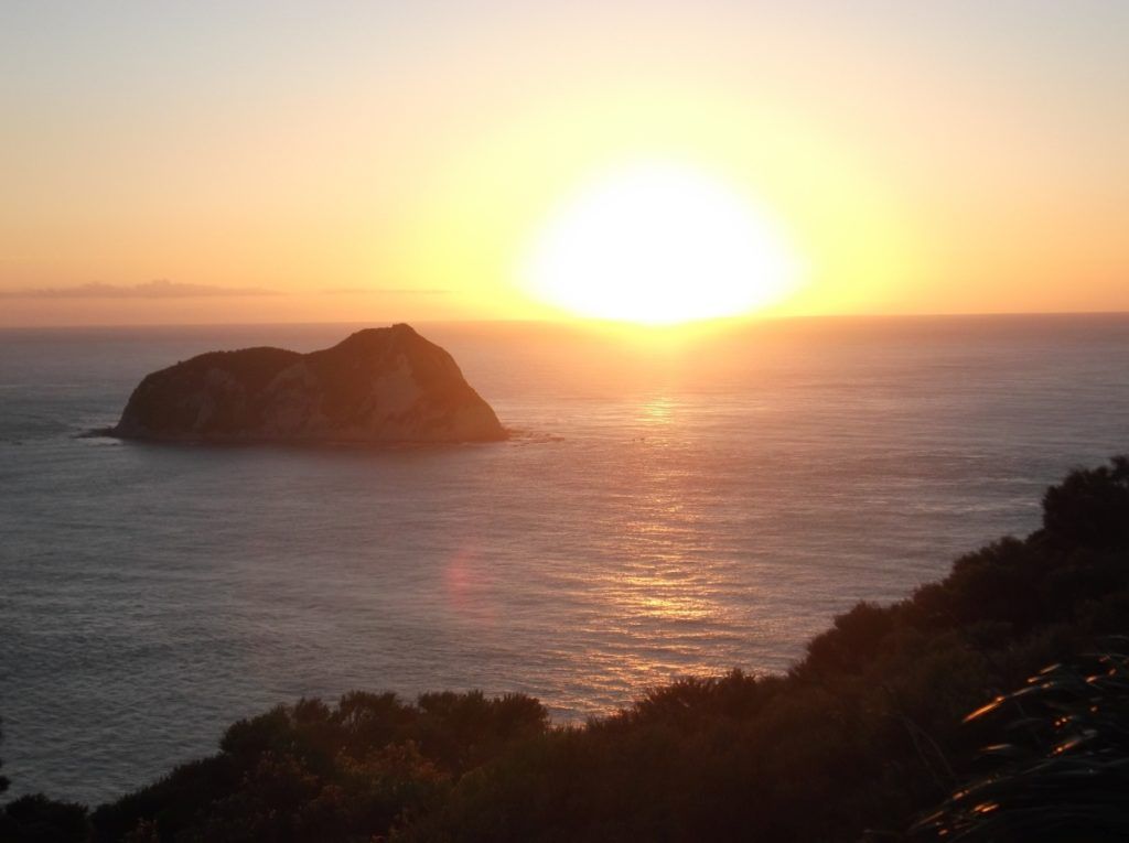 10 Super Unique Things in New Zealand