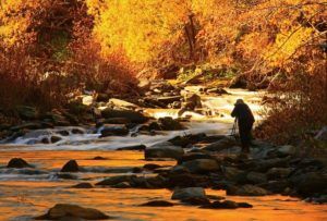 New Zealand in March