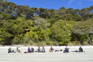 The Perfect New Zealand Bus Tour for Active Travellers