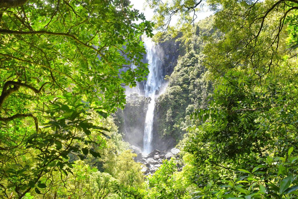 12 Things to Do in Matamata (That Doesn't Involve Hobbits)