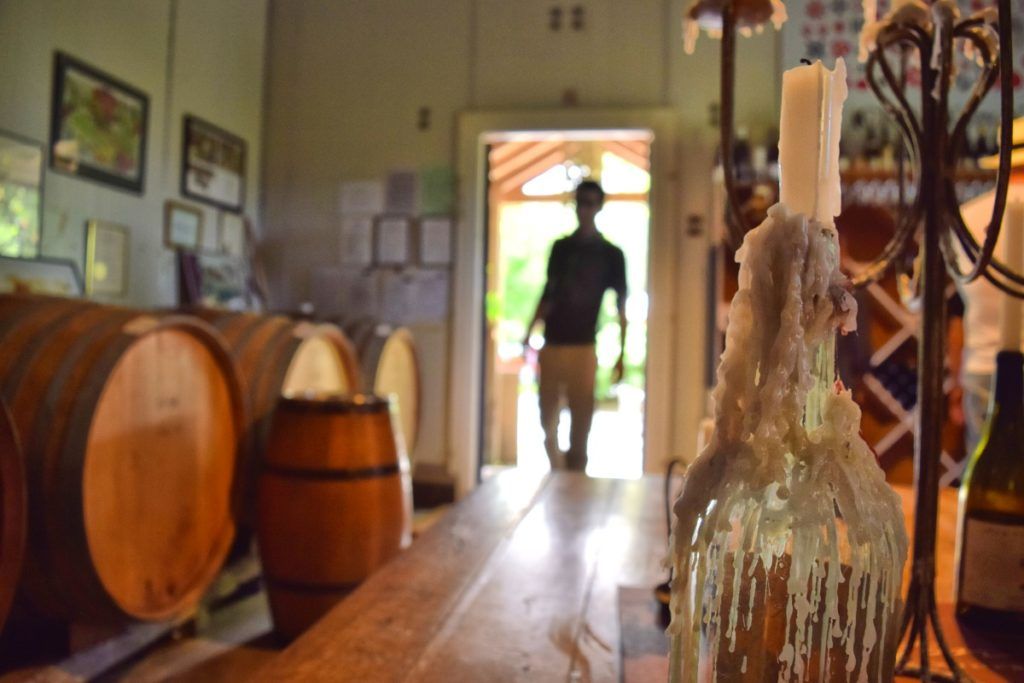 10 Excellent Wine Tours in New Zealand