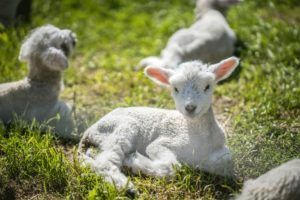 New Zealand Weather in October