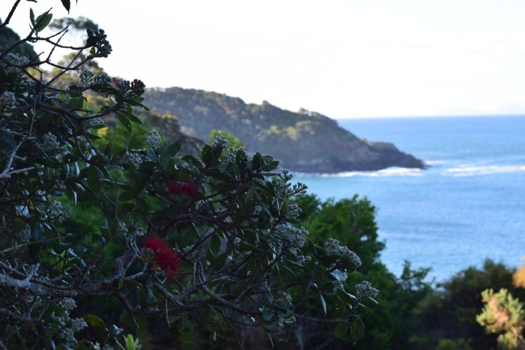 10 Best Nudist Beaches in New Zealand