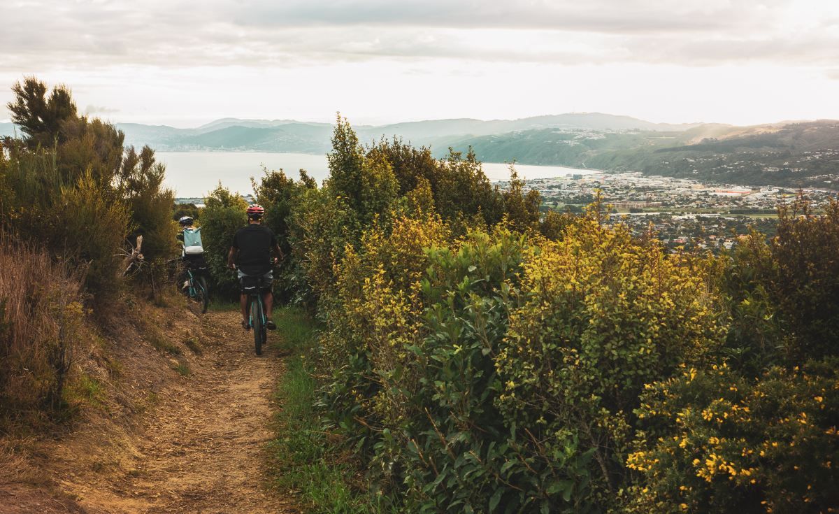 11 Excellent Things to Do in the Hutt Valley
