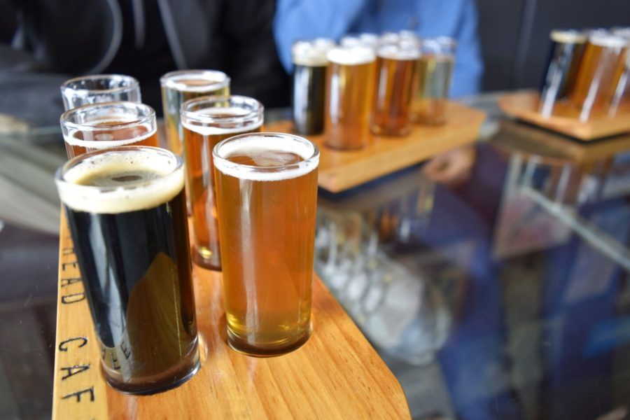 14 Best Breweries & Craft Beer Bars in Wellington