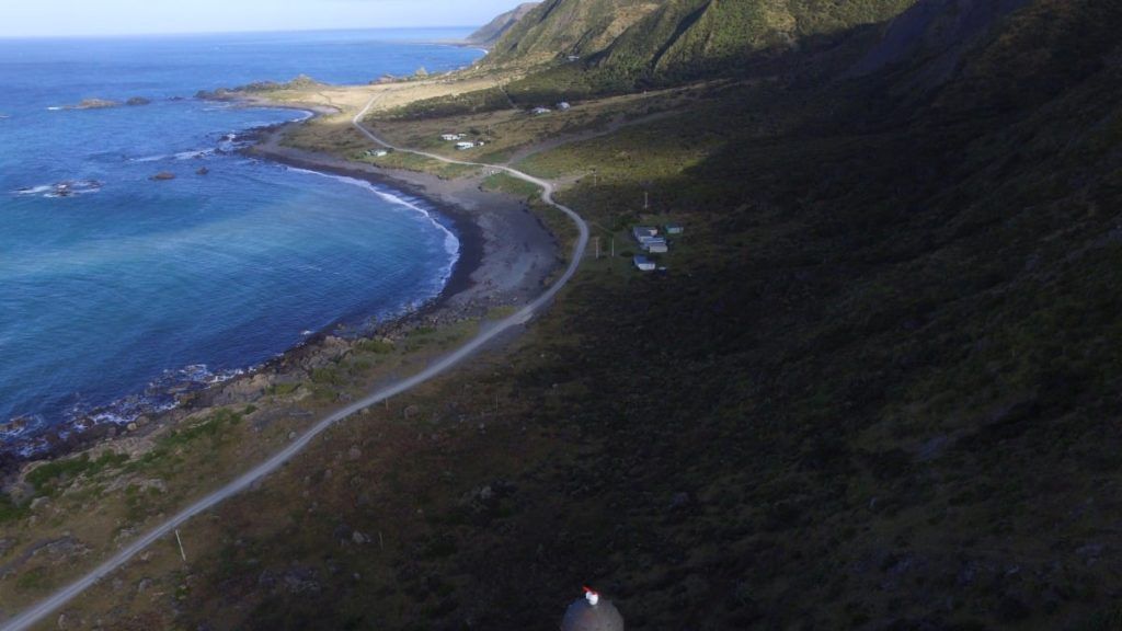 Mountain Biking in Wellington