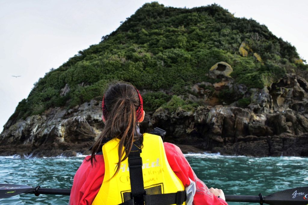 10 Free & Cheap Things to Do in Akaroa