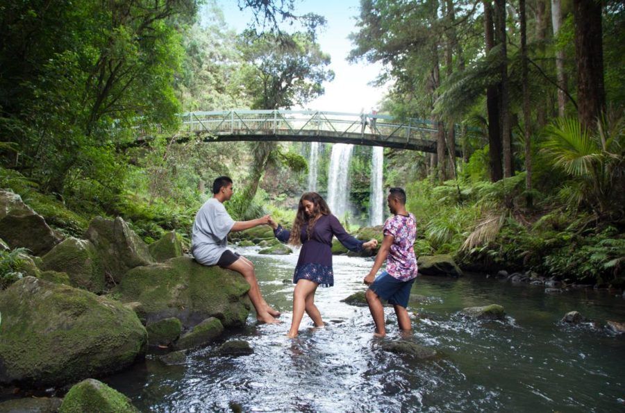 20 Free & Cheap Things to Do in Whangarei NZ Pocket Guide