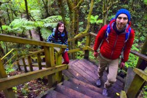 9 Must-Do Walks in Porirua