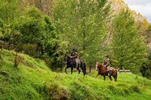 6 Amazing Things to Do in Apiti