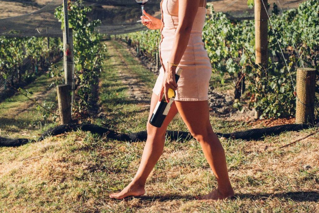 21 Vineyards & Wineries on Waiheke Island