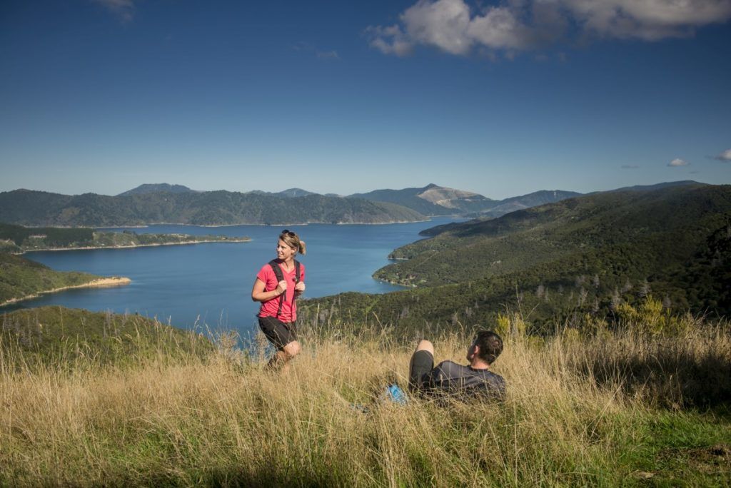 The Ultimate Guide to the Queen Charlotte Track