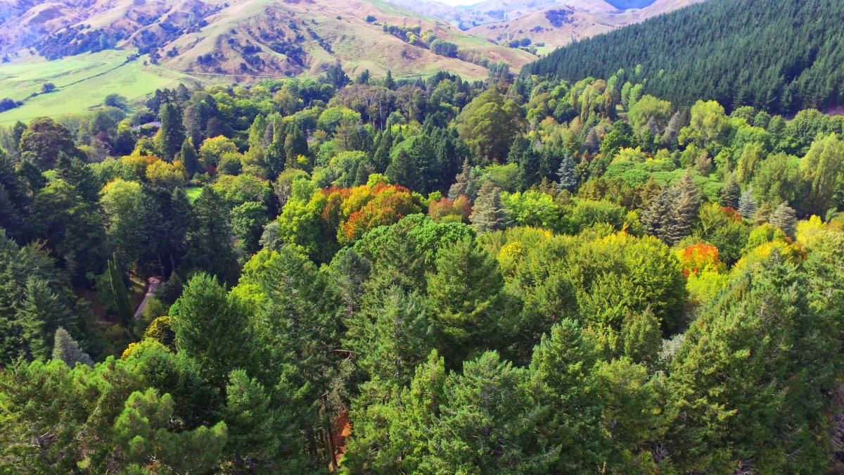 Eastwoodhill Arboretum in Gisborne - Day 271, Part 1