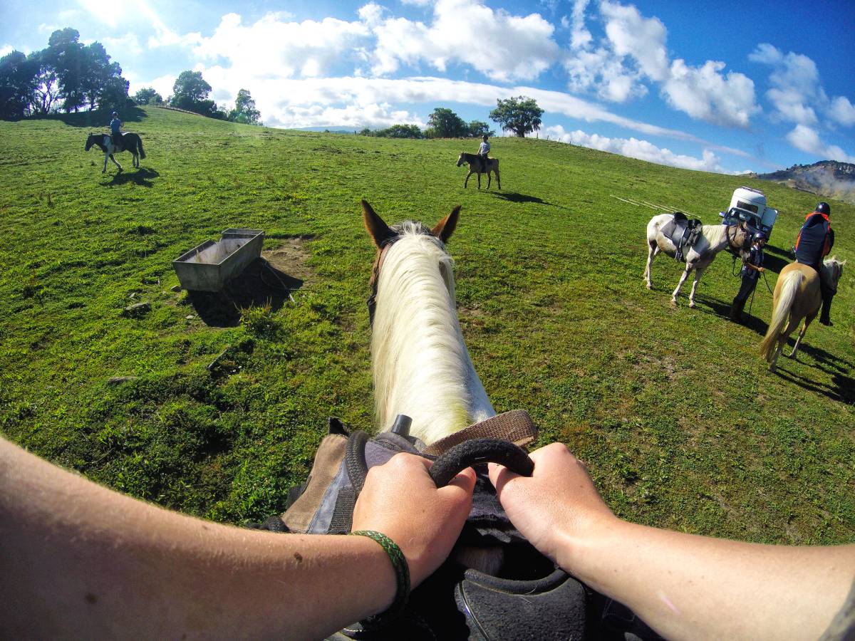 Horse Trek in River Valley - Day 255