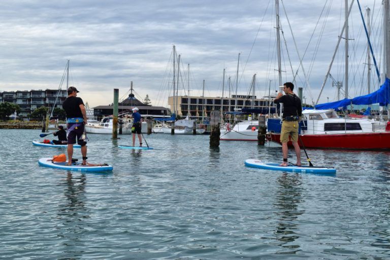 Stand-Up Paddle Boarding in Napier - Day 260, Part 1