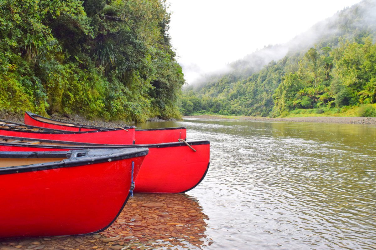 Canoe Trip in the Bay of Plenty - Day 280