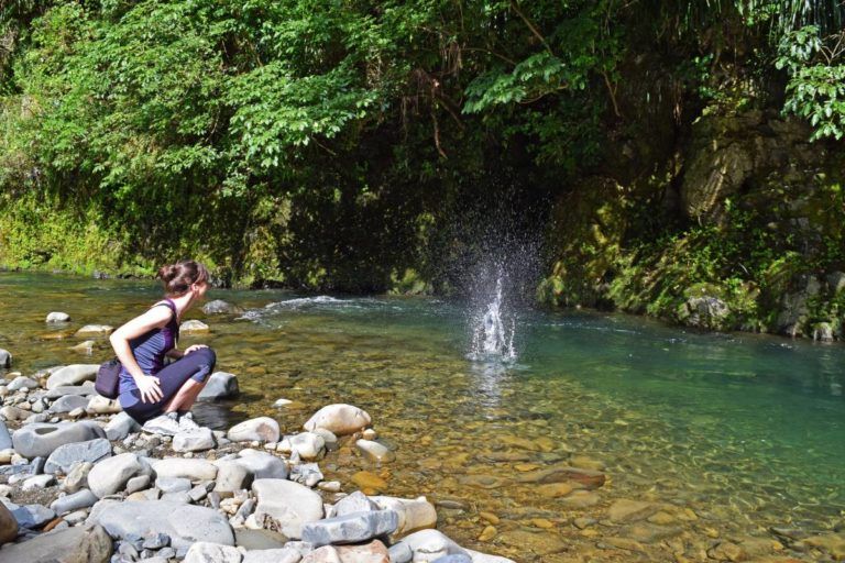 New Zealand's Most Underrated Scenic Route: The Waioeka Gorge - Day 278, Part 1