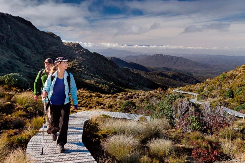 The Complete Guide to the Hump Ridge Track