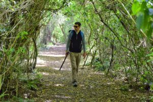 10 Best Walks in Invercargill