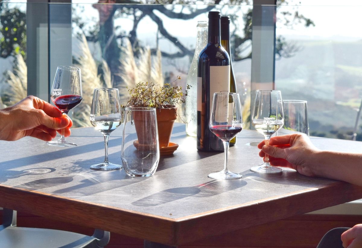 Waiheke Island Wine Tour - Day 330