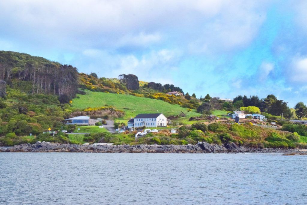 7 Best Walks in Bluff