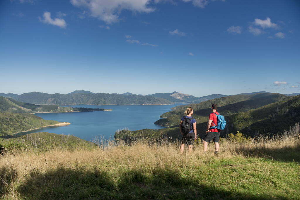 10 Awesome Walks in Marlborough