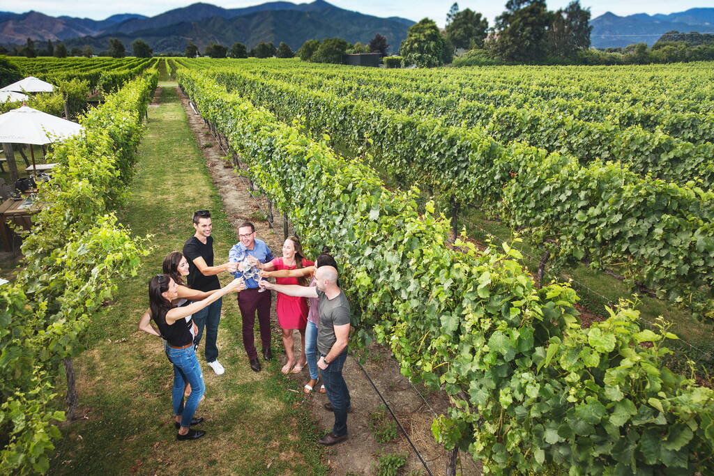 10 Best Wineries in Blenheim