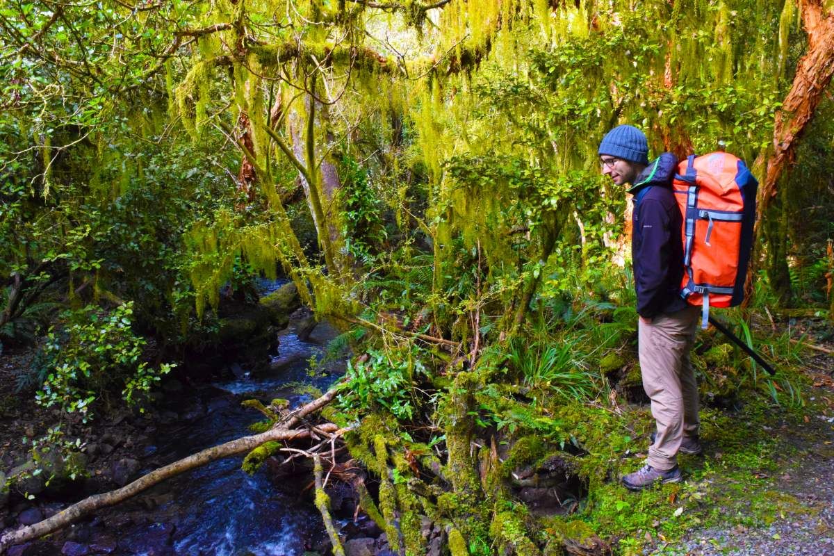 6 Best Walks in Gore