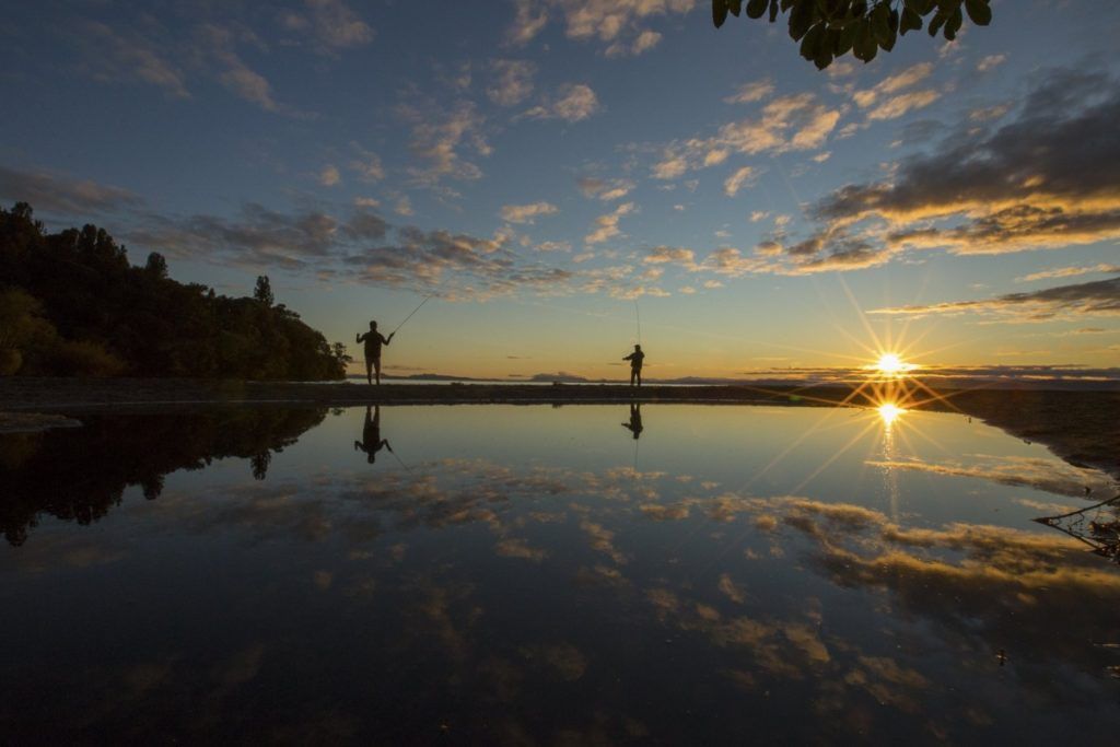 10 Amazing Things to Do in Turangi