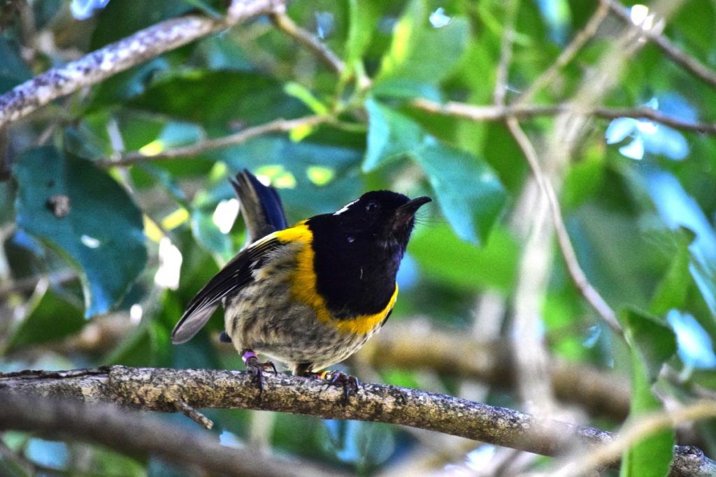 The Guide to Auckland for Families