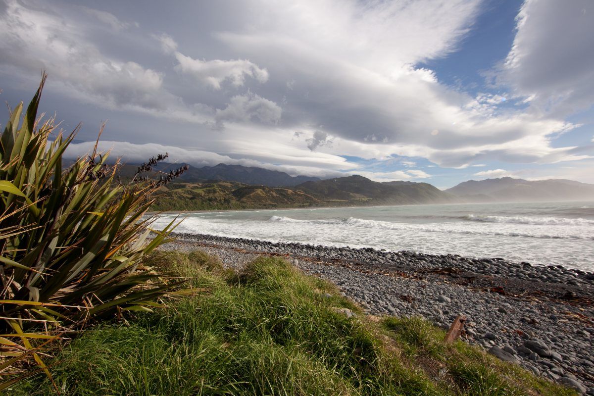 10 Best Walks & Hikes in Kaikoura NZ Pocket Guide