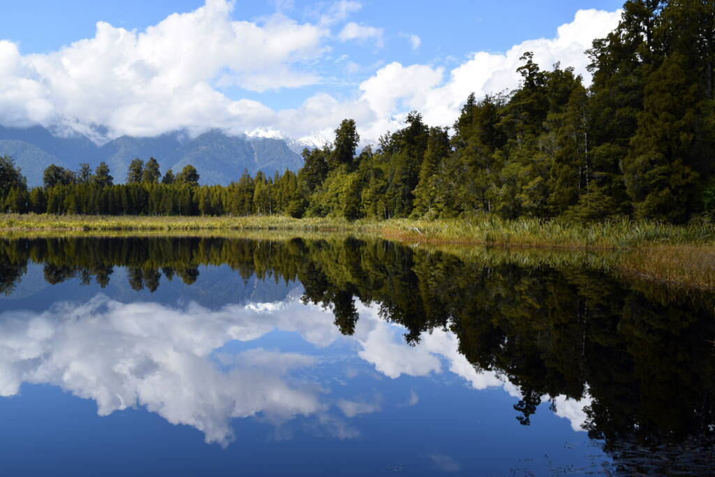 9 Best Walks in Fox Glacier