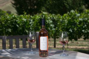 10 Wonderful Wineries in Hawke's Bay