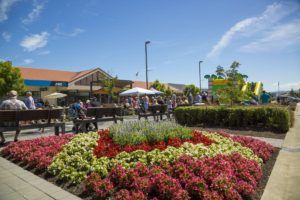 10 Fun Things to Do in Richmond