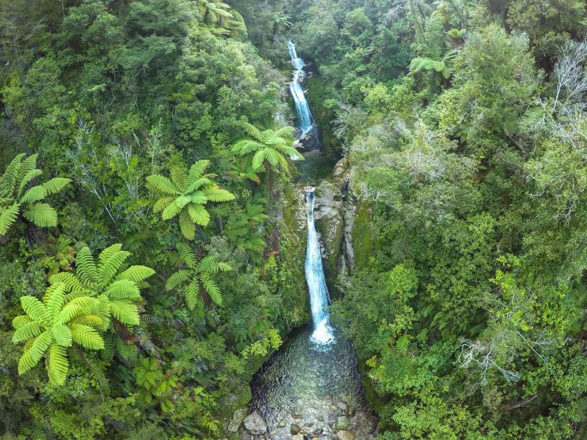 10 Amazing Things to Do in Takaka
