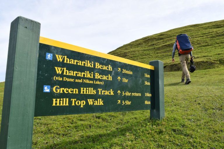 7 Best Walks at Farewell Spit