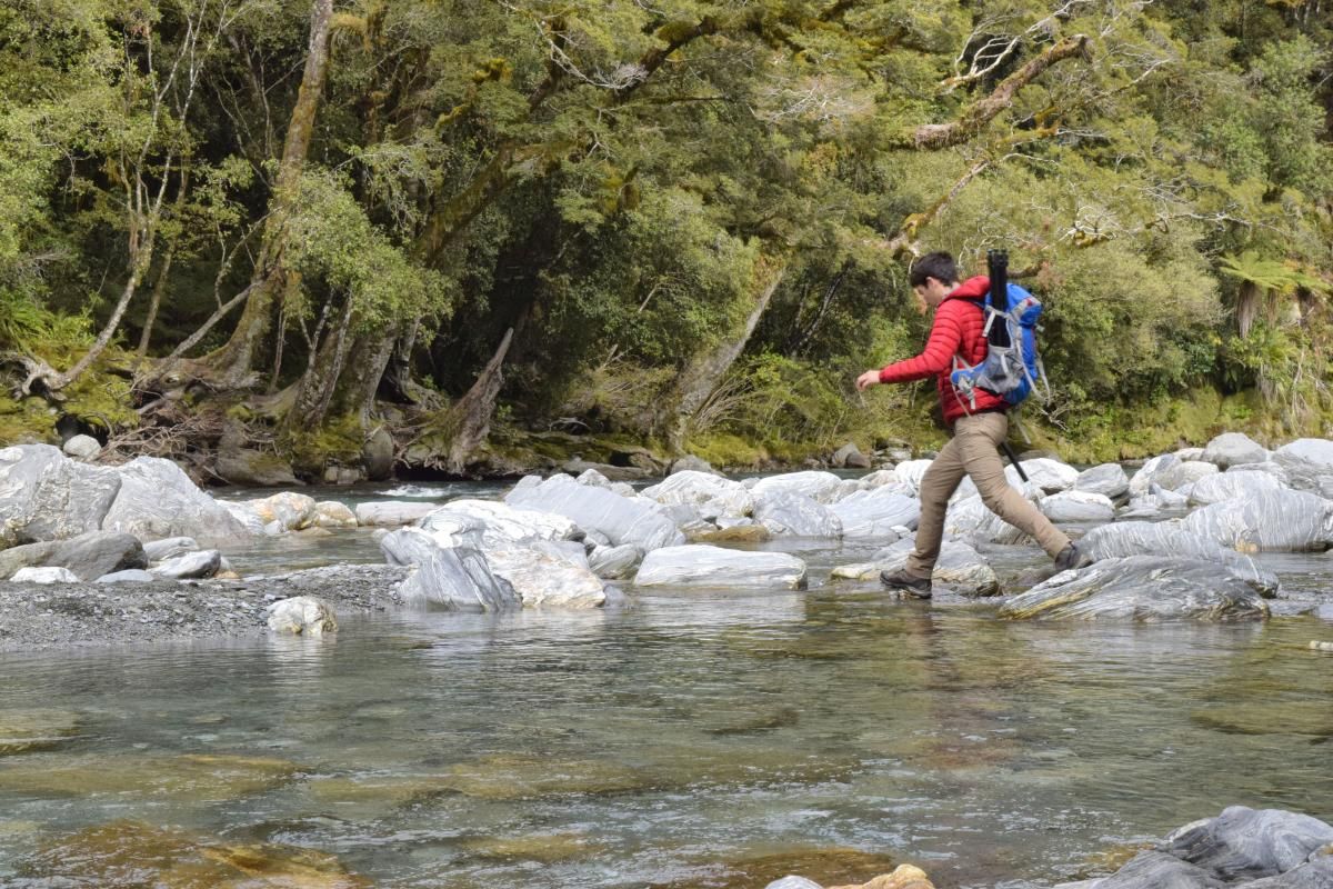 10 Best Walks in Franz Josef NZ Pocket Guide