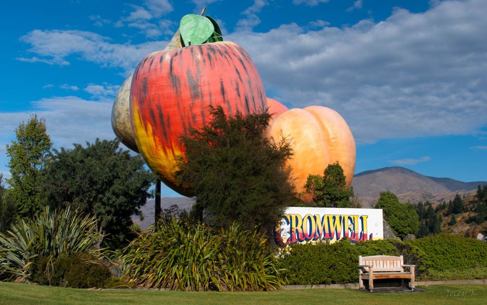 Jocelyn Kinghorn on Flickr