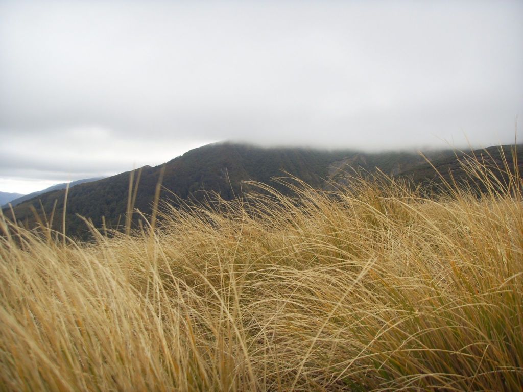  max_wax1973 on Flickr