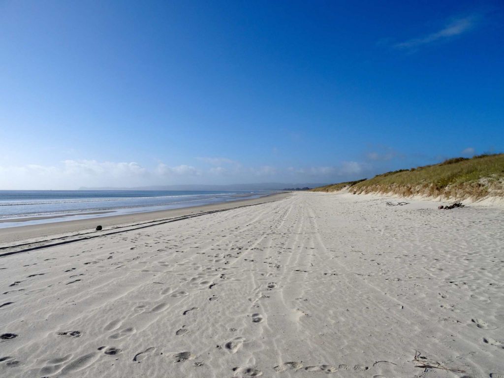 10 Best Nudist Beaches in New Zealand NZ Pocket Guide