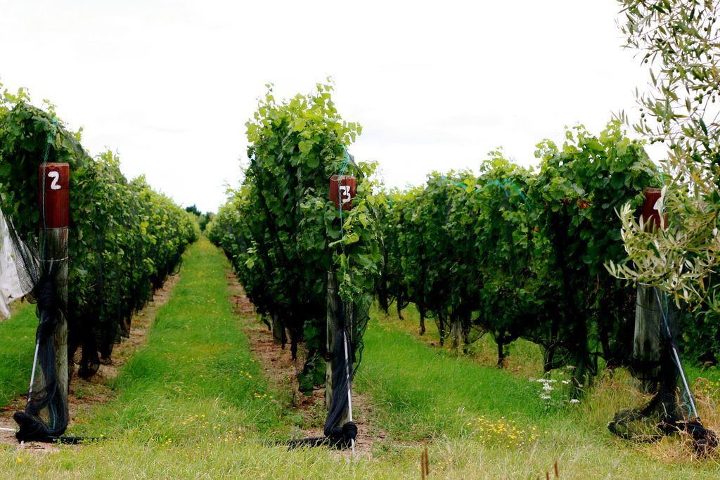  Sarah-Rose on Flickr