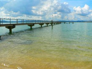 eutrophication&hypoxia on Flickr