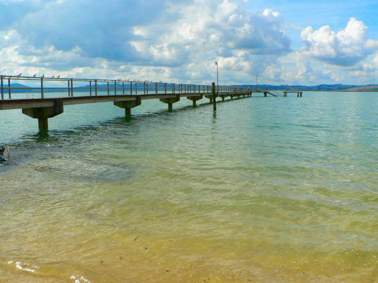 eutrophication&hypoxia on Flickr