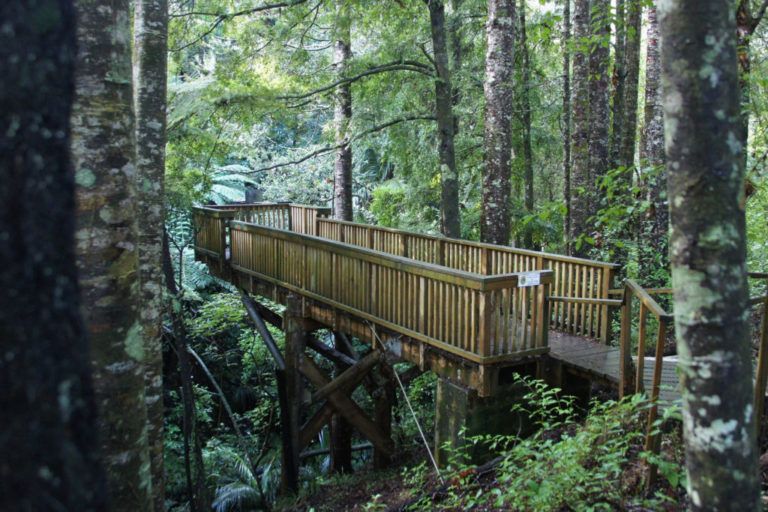 10 Best Things to Do in Warkworth NZ Pocket Guide