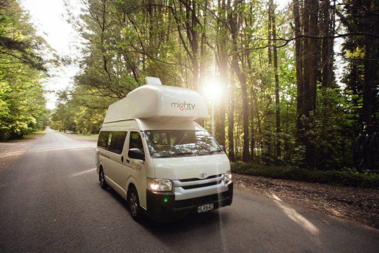 THL - Mark Clinton Photo