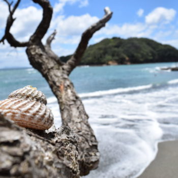 10 Best Nudist Beaches in New Zealand - NZ Pocket Guide #1 New Zealand
