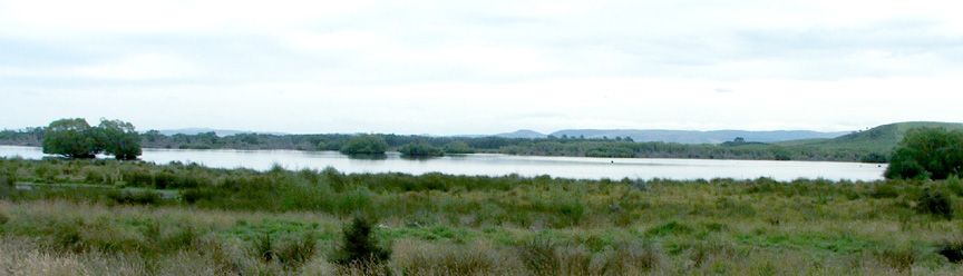 Grutness at English Wikipedia