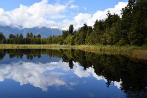 Franz Josef & Fox Glacier - Guide for Backpackers