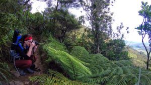 The Best Time to Visit the North Island