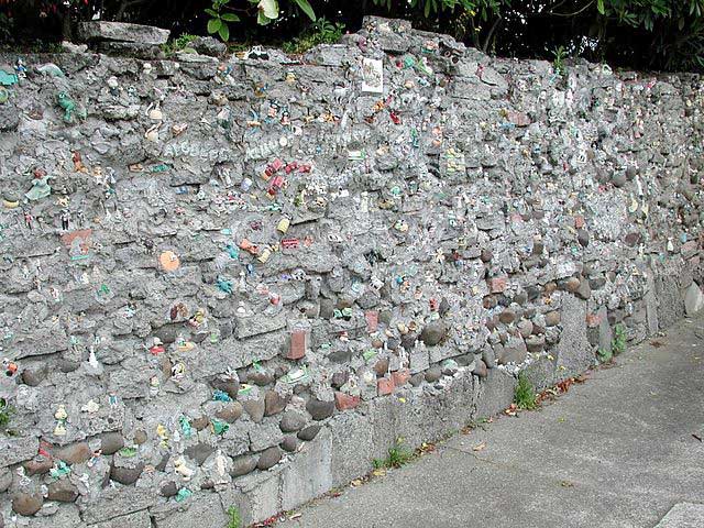 Pseudopanax-at-en.wikipedia